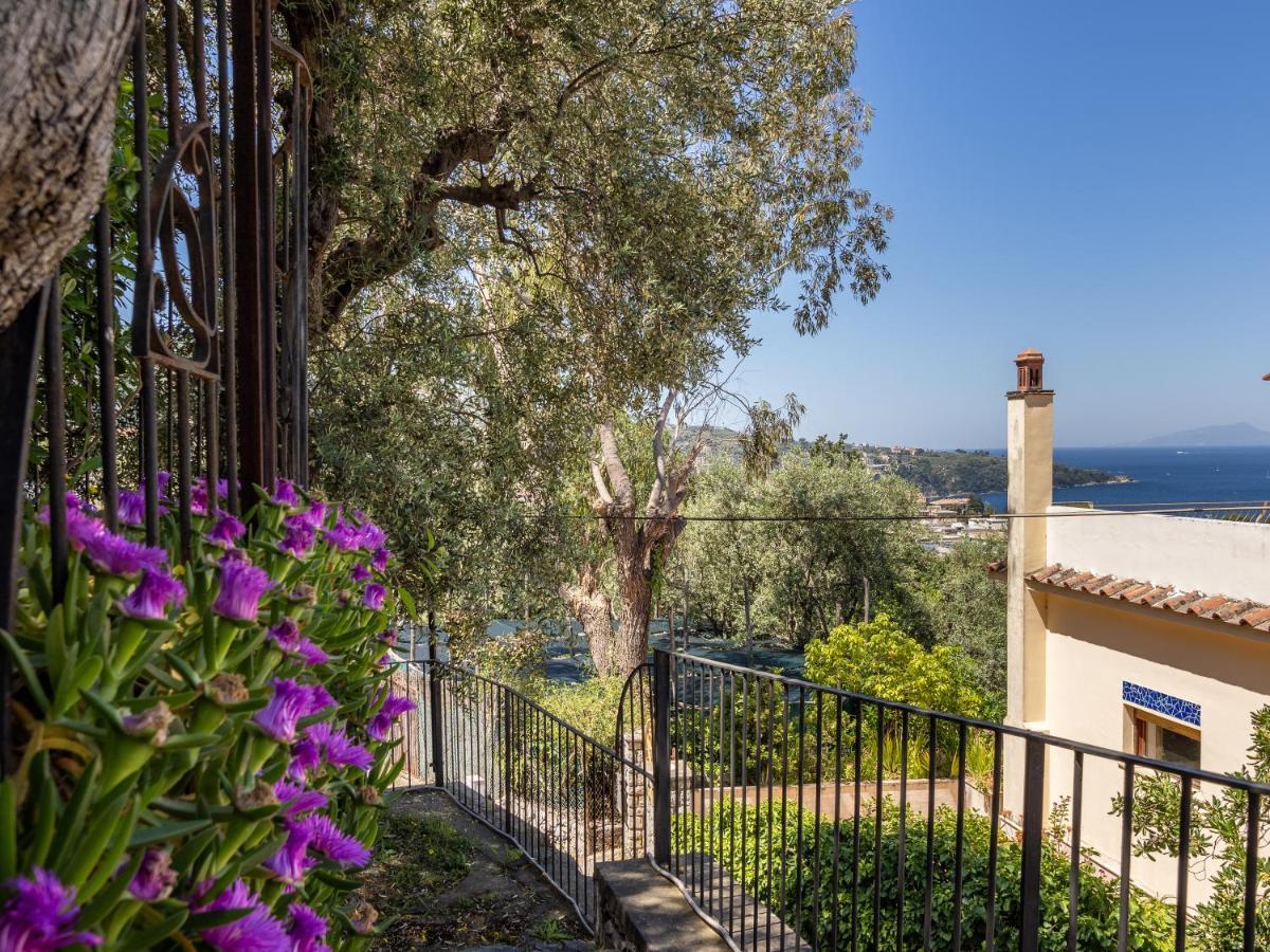 Ulivi Apt Villa Sorrento Eksteriør billede