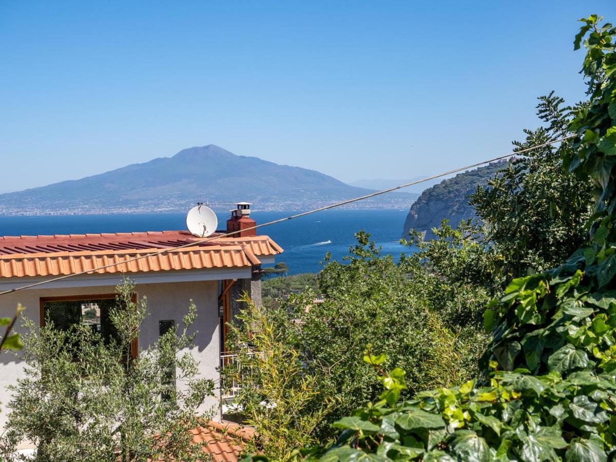 Ulivi Apt Villa Sorrento Eksteriør billede
