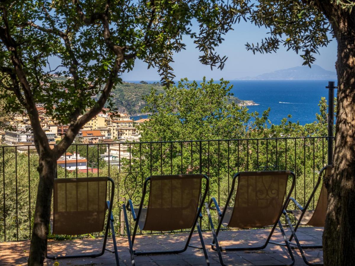 Ulivi Apt Villa Sorrento Eksteriør billede