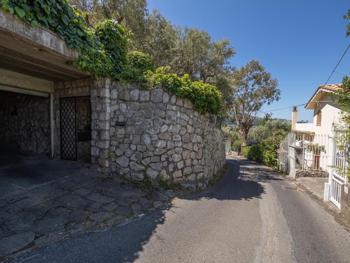 Ulivi Apt Villa Sorrento Eksteriør billede