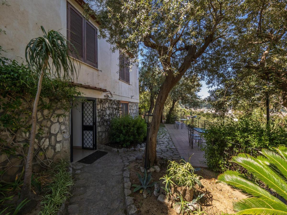 Ulivi Apt Villa Sorrento Eksteriør billede