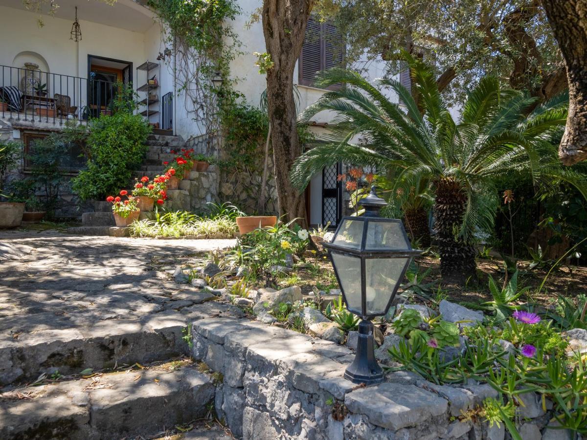 Ulivi Apt Villa Sorrento Eksteriør billede