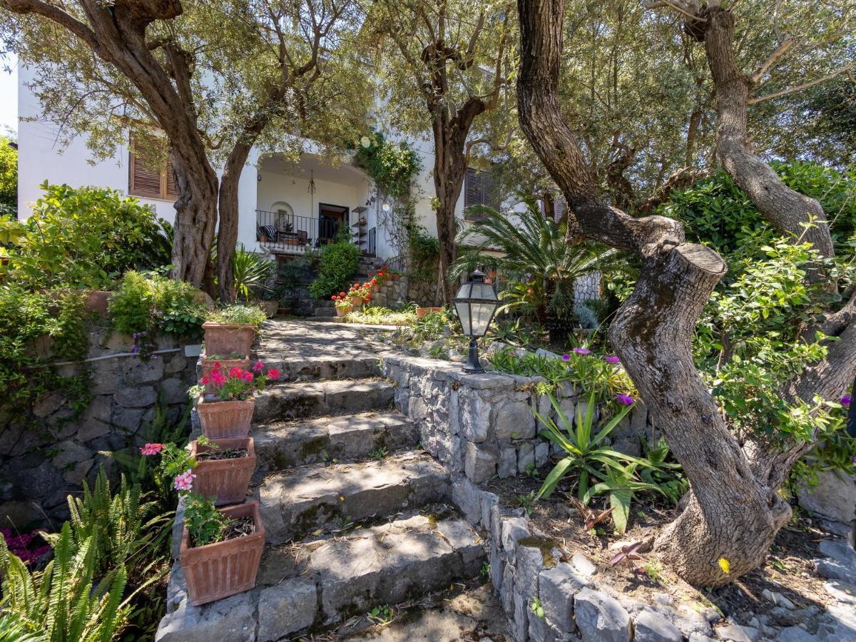 Ulivi Apt Villa Sorrento Eksteriør billede
