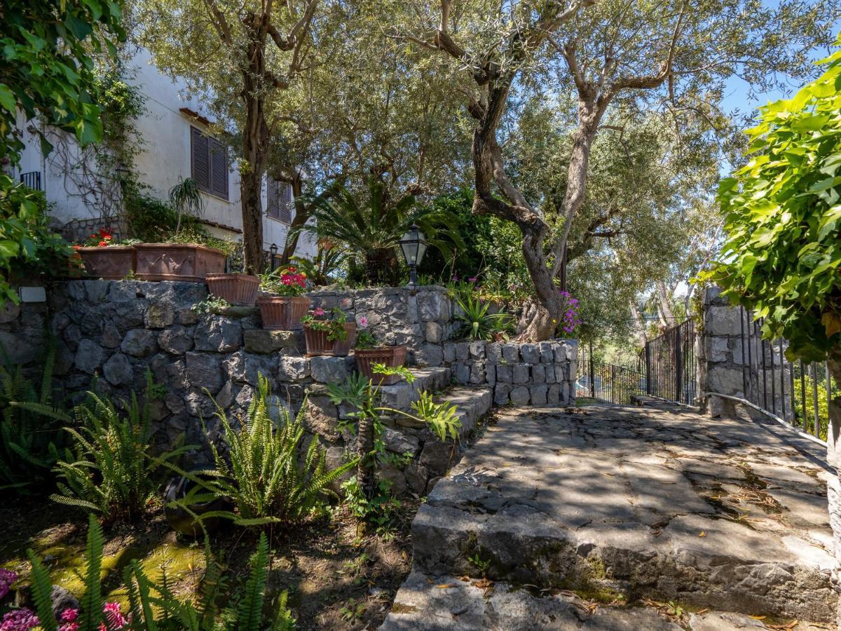Ulivi Apt Villa Sorrento Eksteriør billede